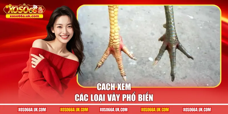 Cách xem các loại vảy phổ biến