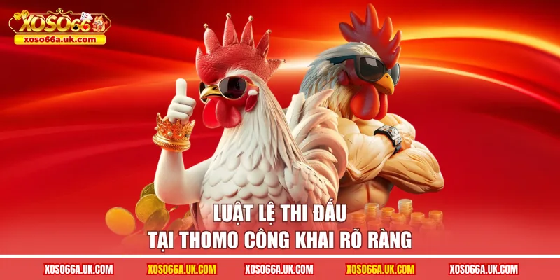 Luật lệ thi đấu tại Thomo công khai rõ ràng